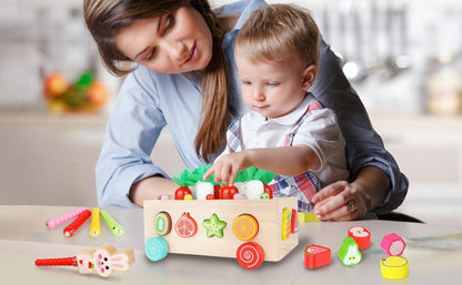 Dreambabies | Houten Speelgoed met Magnetische Functie voor Educatief Spelen | Geschikt voor Kinderen 1 - 3 Jaar - KidsKorner