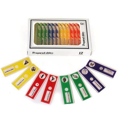 ExploreScope Zakmicroscoop - Compact en Leerzaam Onderzoeksspeelgoed - KidsKorner
